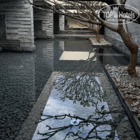 фото из отзыва ID 2671688