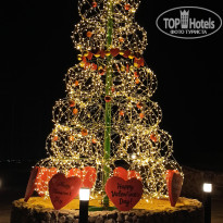 фото из отзыва ID 2671793