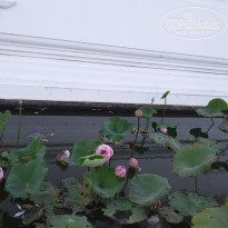 фото из отзыва ID 2671862