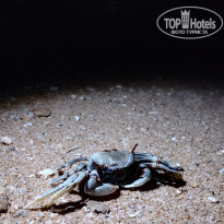 фото из отзыва ID 2671862