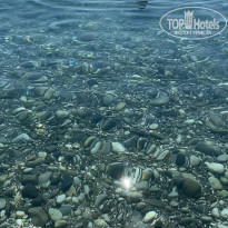 фото из отзыва ID 2671801