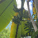фото из отзыва ID 2671884