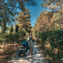 фото из отзыва ID 2671883