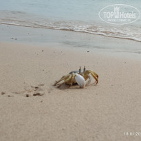 фото из отзыва ID 2671893