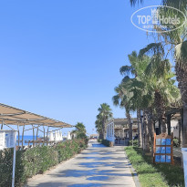 фото из отзыва ID 2671918