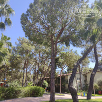 фото из отзыва ID 2671918