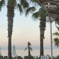 фото из отзыва ID 2671918