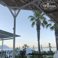 фото из отзыва ID 2671918