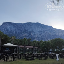 фото из отзыва ID 2671918