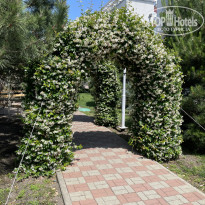 фото из отзыва ID 2671983