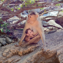 фото из отзыва ID 2672045