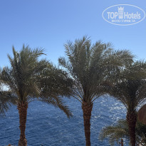 фото из отзыва ID 2672078