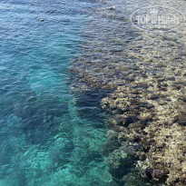 фото из отзыва ID 2672078