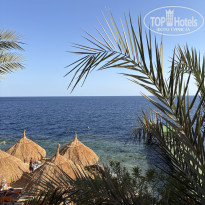 фото из отзыва ID 2672078