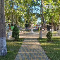 фото из отзыва ID 2672105