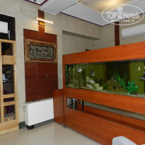 фото из отзыва ID 2672174