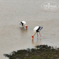 фото из отзыва ID 2672180