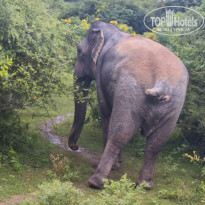 фото из отзыва ID 2672180