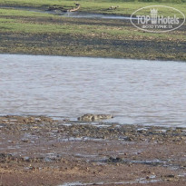 фото из отзыва ID 2672180