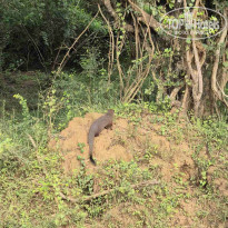 фото из отзыва ID 2672180