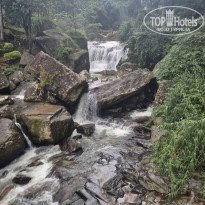 фото из отзыва ID 2672180