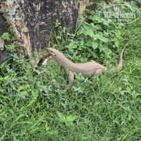 фото из отзыва ID 2672180