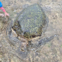 фото из отзыва ID 2672180