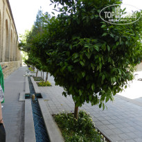 фото из отзыва ID 2672174