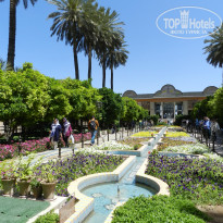 фото из отзыва ID 2672174