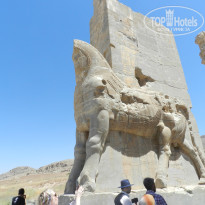 фото из отзыва ID 2672174