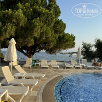 фото из отзыва ID 2672205