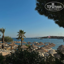 фото из отзыва ID 2672205