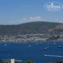 фото из отзыва ID 2672205