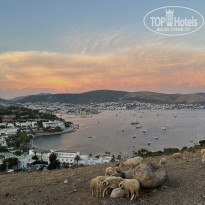 фото из отзыва ID 2672205