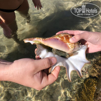 фото из отзыва ID 2672217