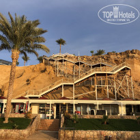 фото из отзыва ID 2672217