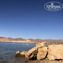 фото из отзыва ID 2672217