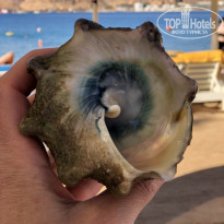 фото из отзыва ID 2672217