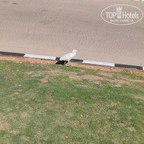 фото из отзыва ID 2672209