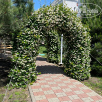 фото из отзыва ID 2672239