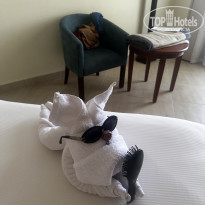 фото из отзыва ID 2672296