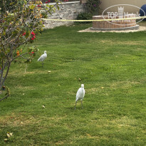 фото из отзыва ID 2672296