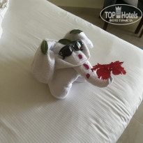 фото из отзыва ID 2672296