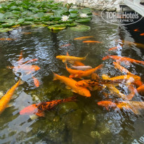 фото из отзыва ID 2672299