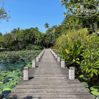 фото из отзыва ID 2672336