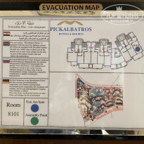 фото из отзыва ID 2672344