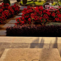 фото из отзыва ID 2672344