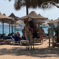 фото из отзыва ID 2672347