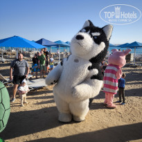 фото из отзыва ID 2672353