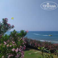 фото из отзыва ID 2672369